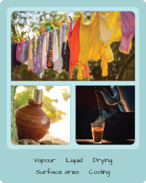 Card 02